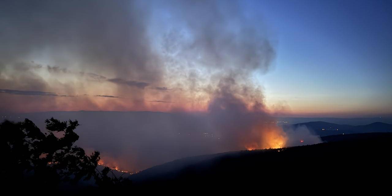 Bilecik yangını Bursa'ya dayandı: Hazırlıklar başladı