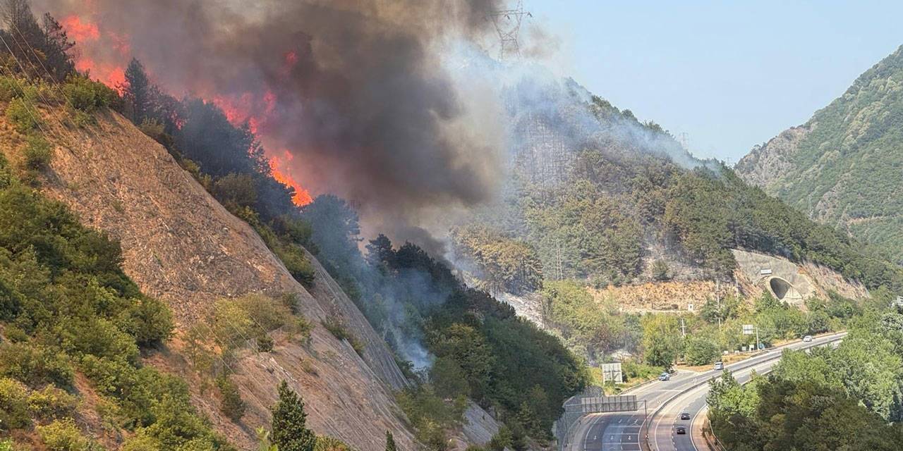 Sakarya-Bilecik karayolu orman yangını nedeniyle kapatıldı