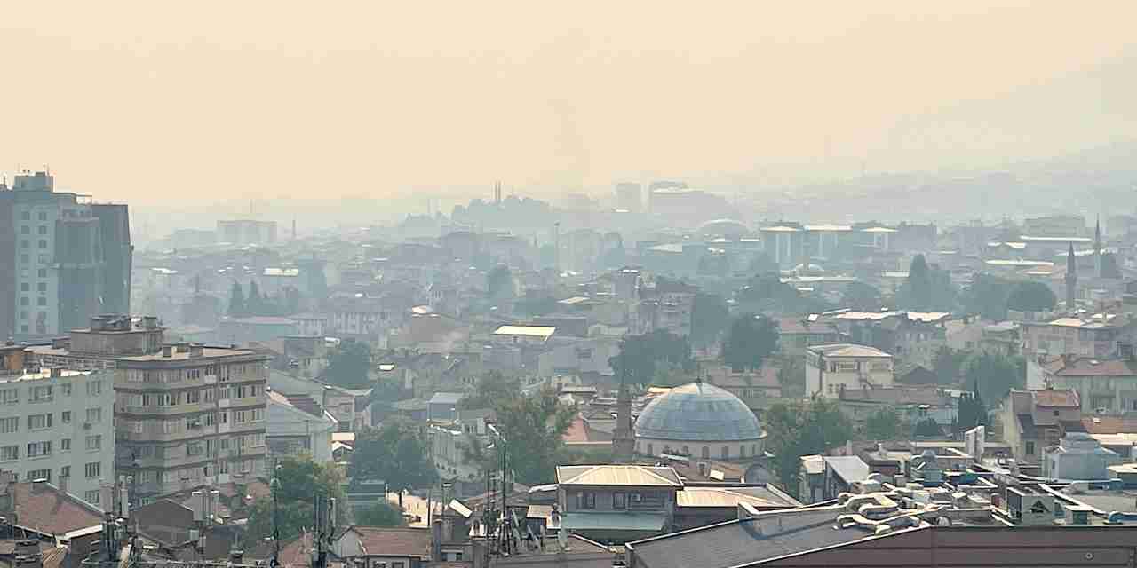 Bilecik'teki orman yangınının külü Bursa'ya yağdı