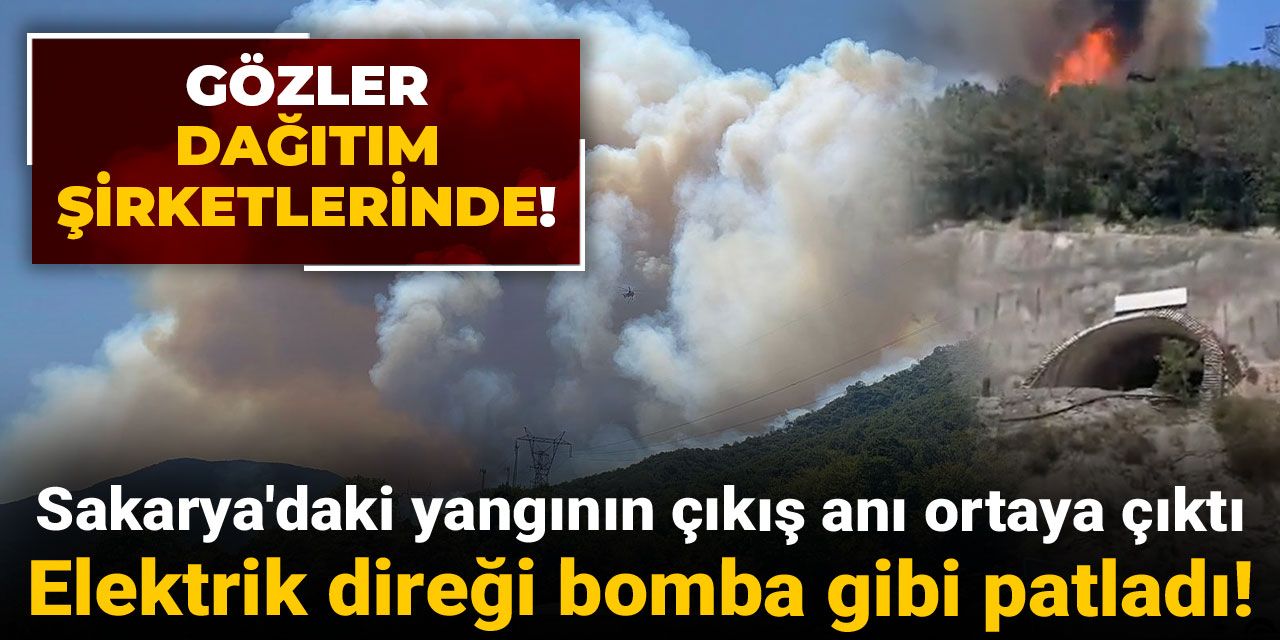 Sakarya'daki yangının çıkış anı ortaya çıktı: Elektrik direği bomba gibi patladı!