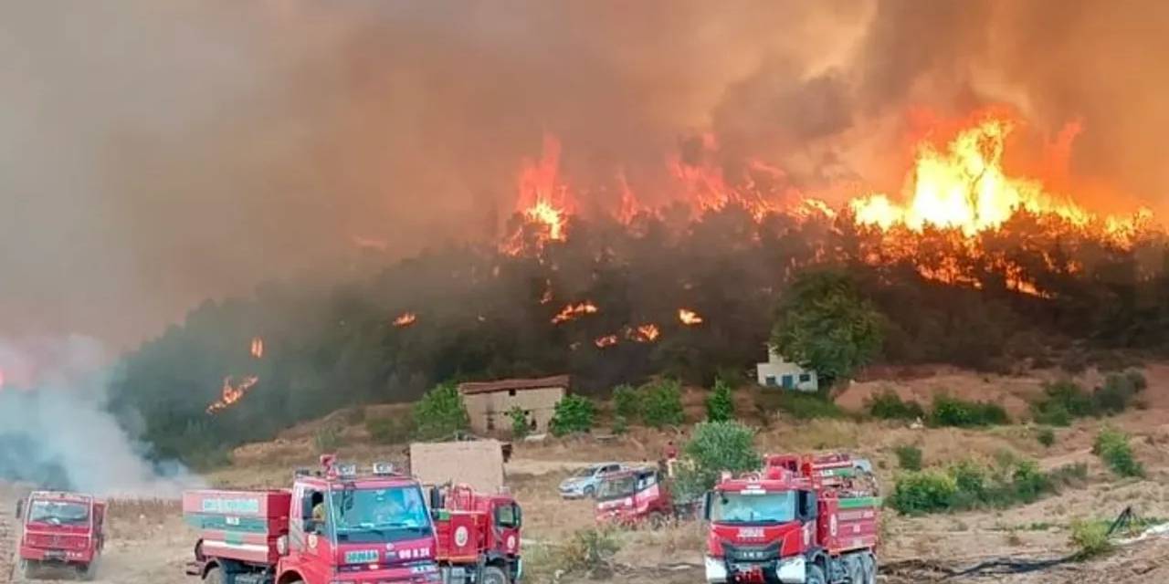 Adıyaman'daki orman yangını söndürüldü