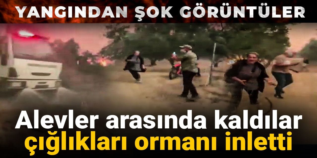 Alevler arasında kaldılar, çığlıkları ormanı inletti! Yangından şok görüntüler