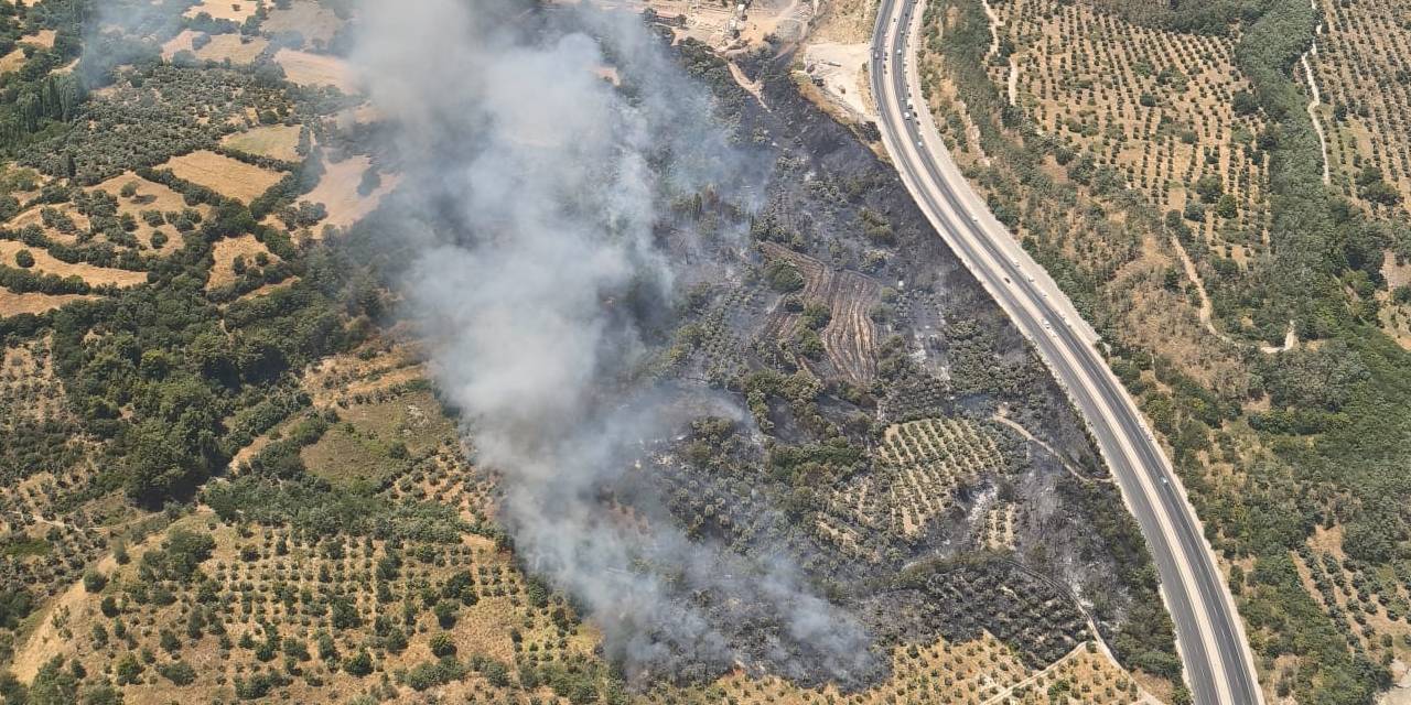 Bir yangın da Muğla'da! Havadan ve karadan müdahale ediliyor