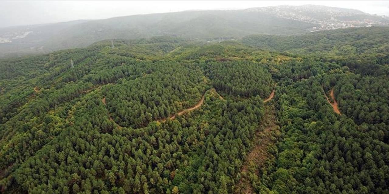 Bir ilde daha ormana girişler yasaklandı