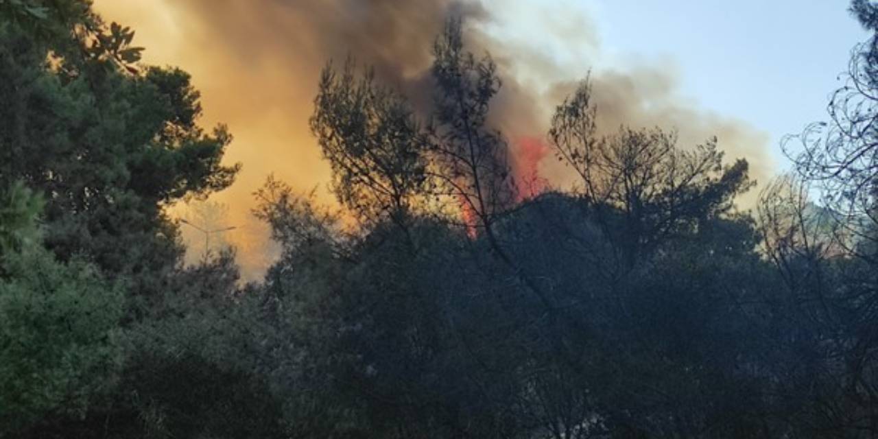 Muratpaşa'daki orman yangını kontrol altına alındı