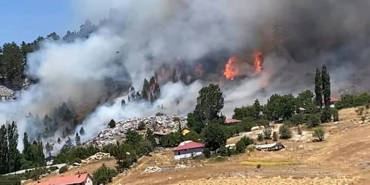 Alanya'dan bir iyi bir kötü haber