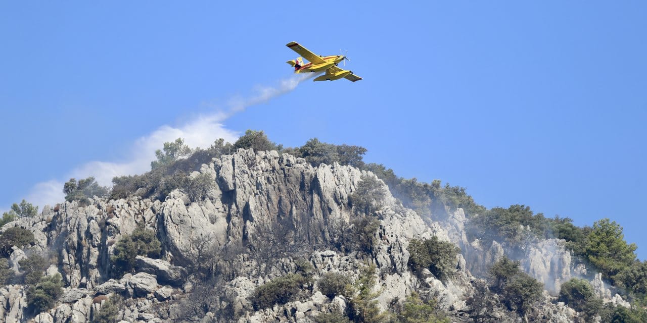 Muğla Ortaca'daki yangın 2 saatte kontrol altına alındı