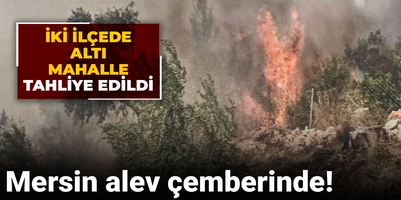 Mersin alev çemberinde! İki ilçede altı mahalle tahliye edildi