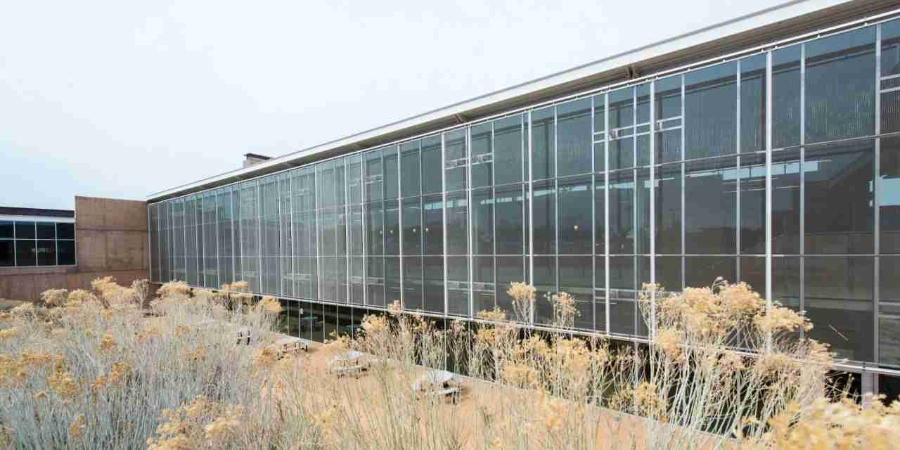 ABD'de öğrenci yurduna silahlı saldırı!