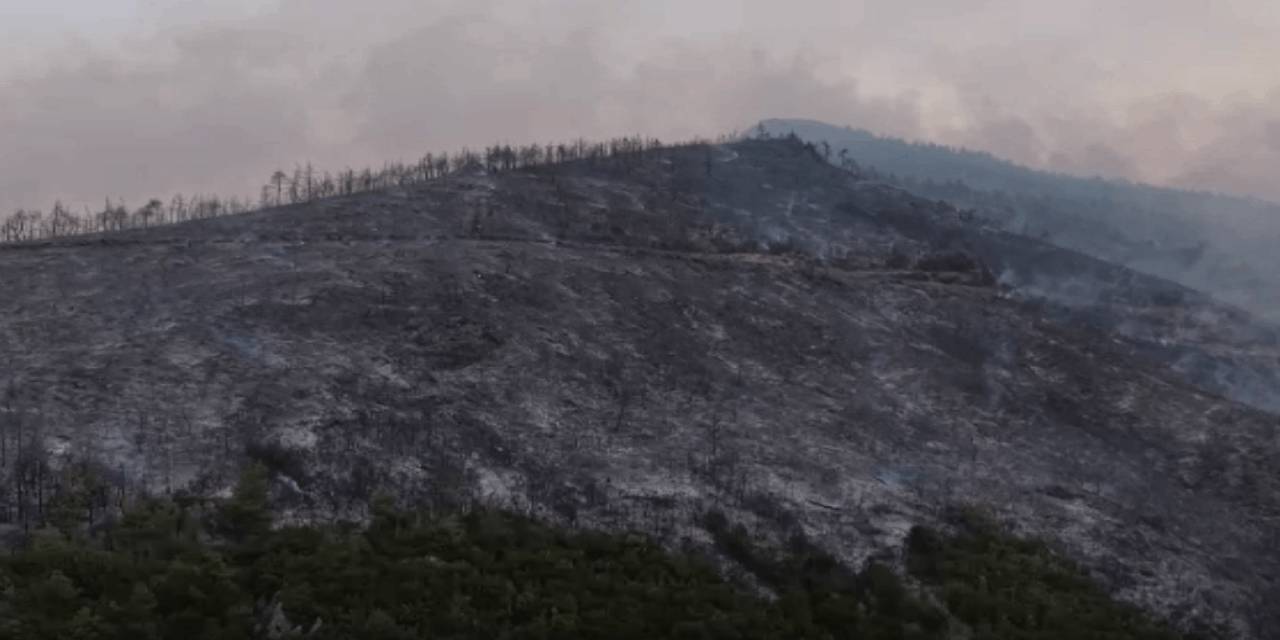 Bursa'daki yangının boyutu! Havadan müdahale başladı