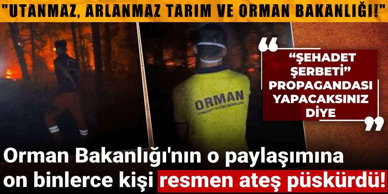 Orman Bakanlığı'nın o paylaşımına  on binlerce kişi resmen ateş püskürdü!