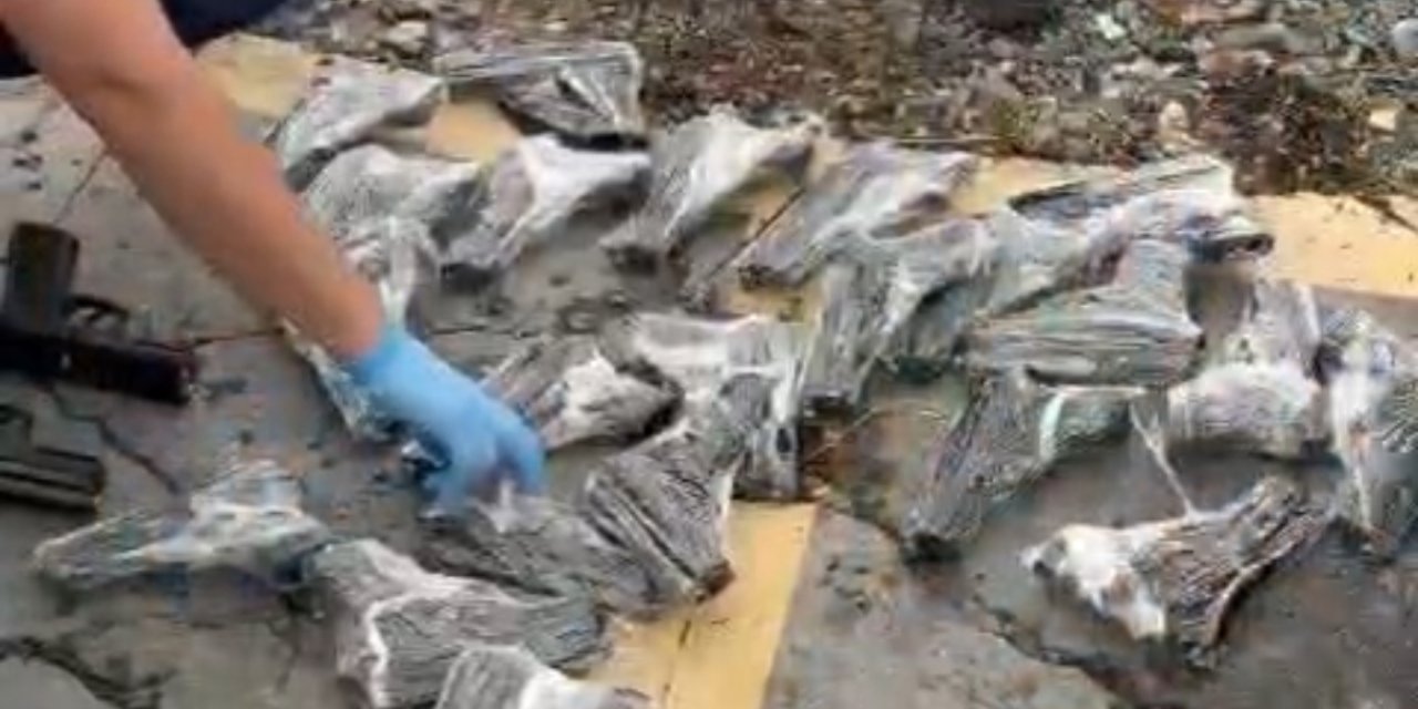 Oyuncak poşetinden onlarca ruhsatsız silah çıktı