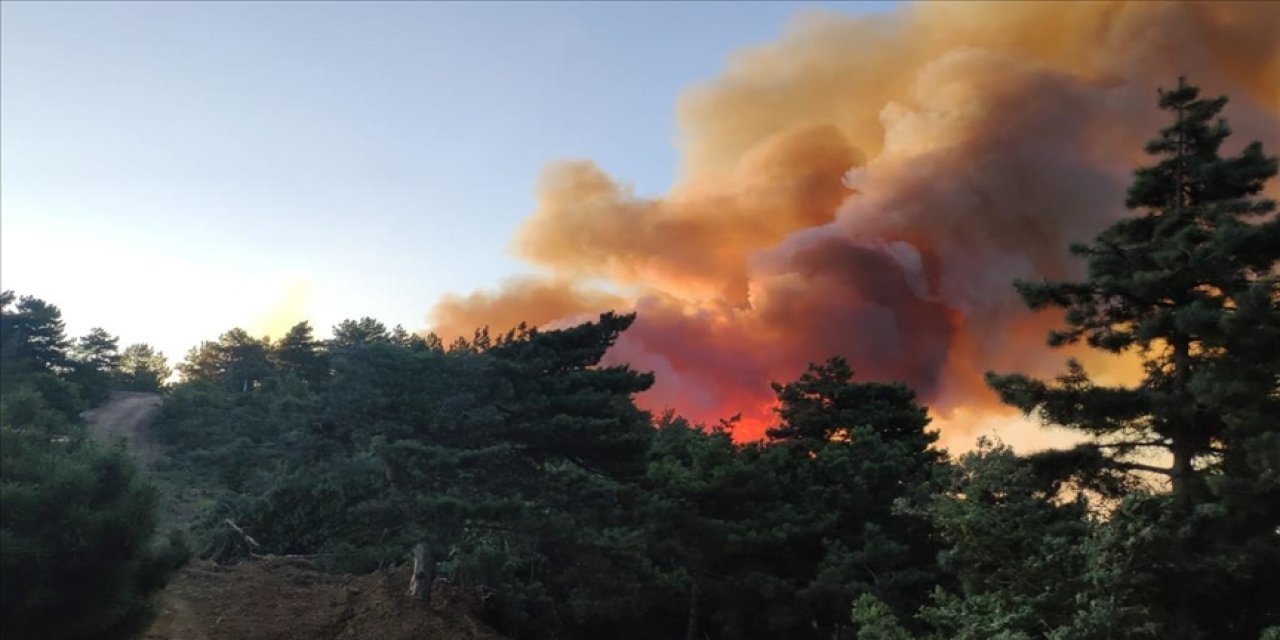 Orman yangınları soruşturmasında 3 kişi tutuklandı