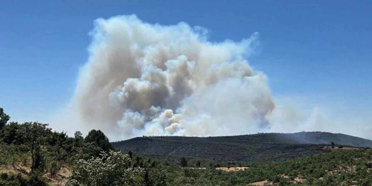 Uşak'taki 2 yangın kontrol altına alındı
