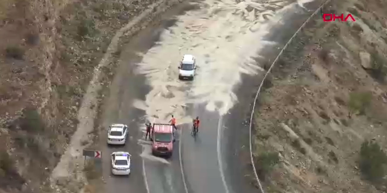 Bir anda yola dökülünce trafiğe kapatıldı