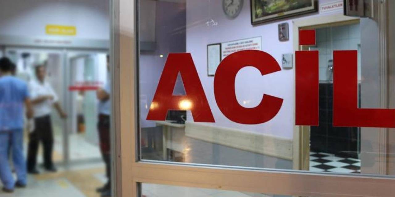 Kastamonu’da devrilen otomobilin sürücüsü hayatını kaybetti