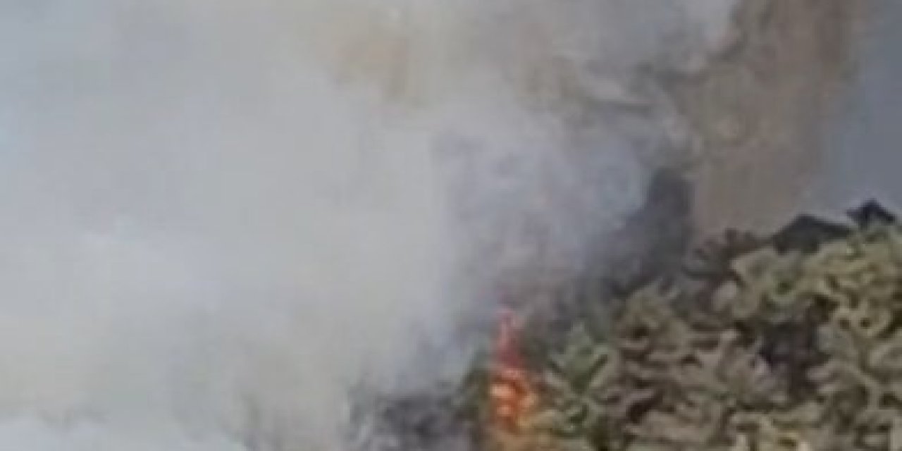 Bursa'da yangın yeniden alevlendi! Ekipler ve vatandaşlar seferber oldu