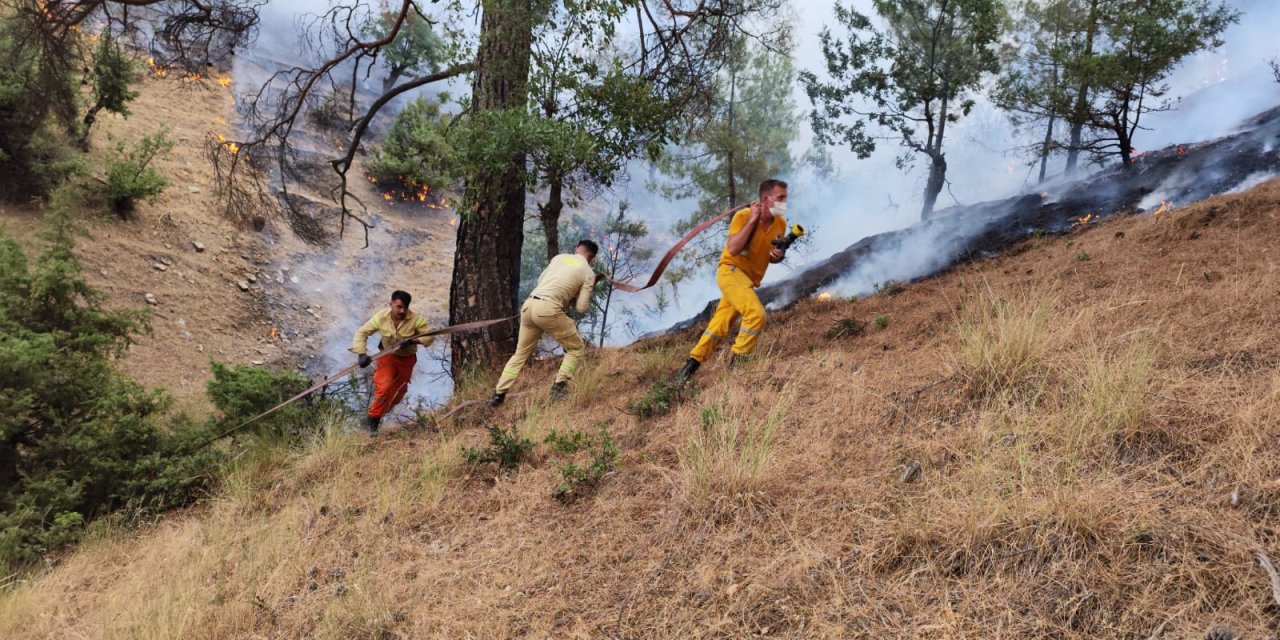 Maraş’taki orman yangınında 2'nci gün
