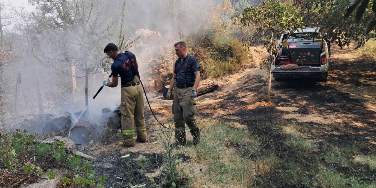 Balıkesir itfaiyesi ve hayvan ambulansı Bursa için seferber oldu