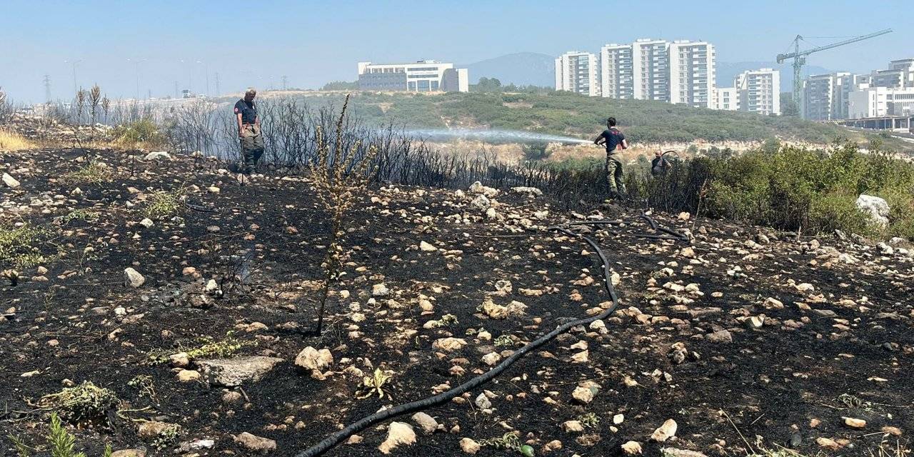 İzmir'deki orman yangını kontrol altında