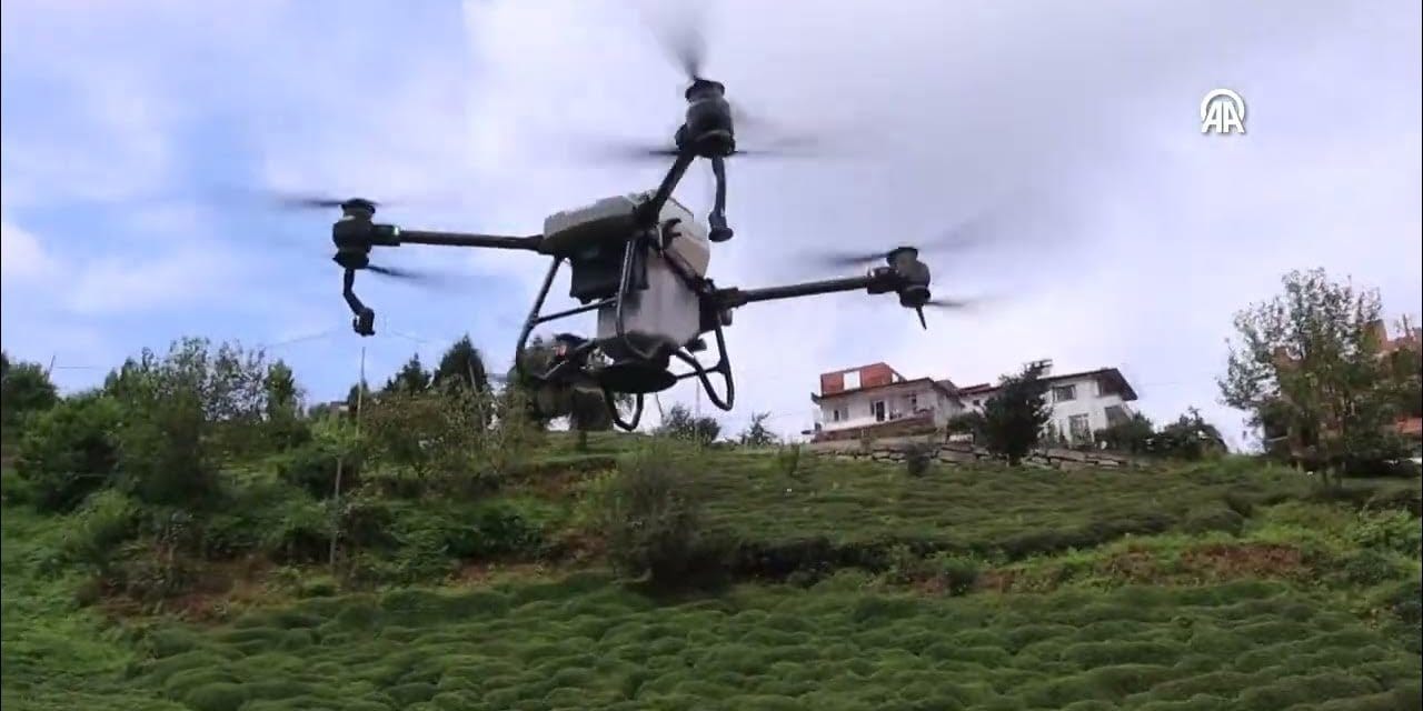 Sıcaktan bunalan akrabasına dronla su taşıdı