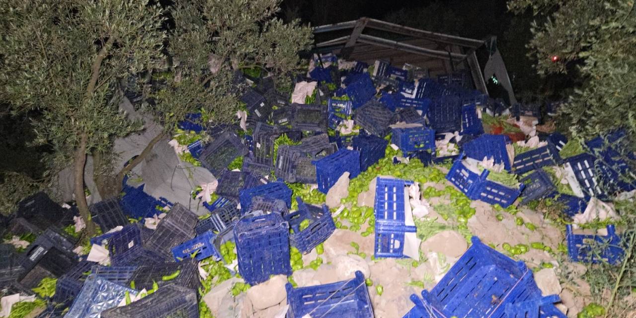 Zeytinlikte can pazarı: Kamyon kazasında sürücü sıkıştı