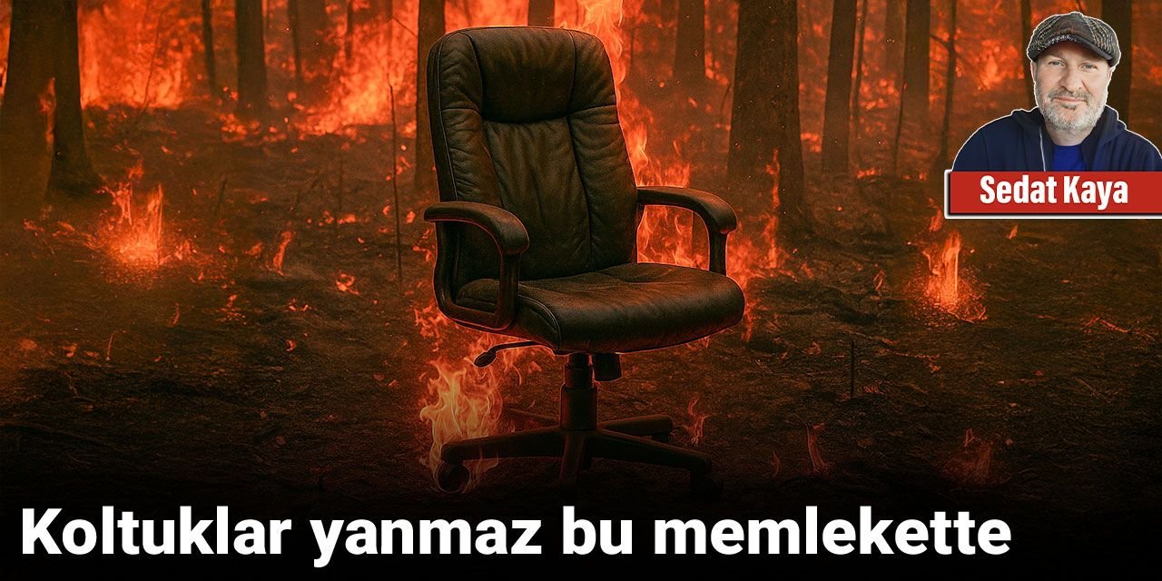 Koltuklar yanmaz bu memlekette
