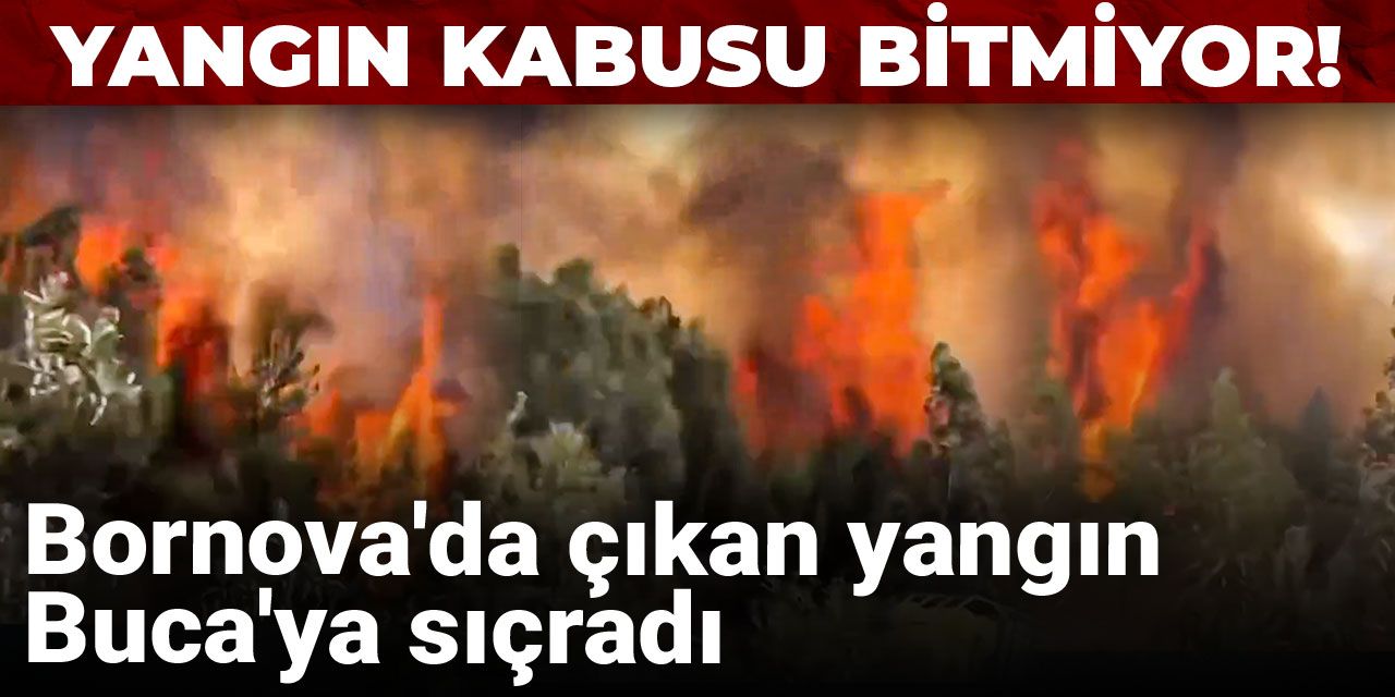 Yangın kabusu bitmiyor! Bornova'da çıkan yangın Buca'ya sıçradı