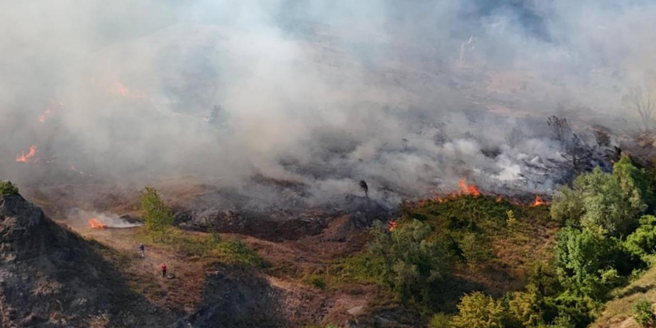 Sakarya'daki orman yangınının sebebi ortaya çıktı! 2 gözaltı