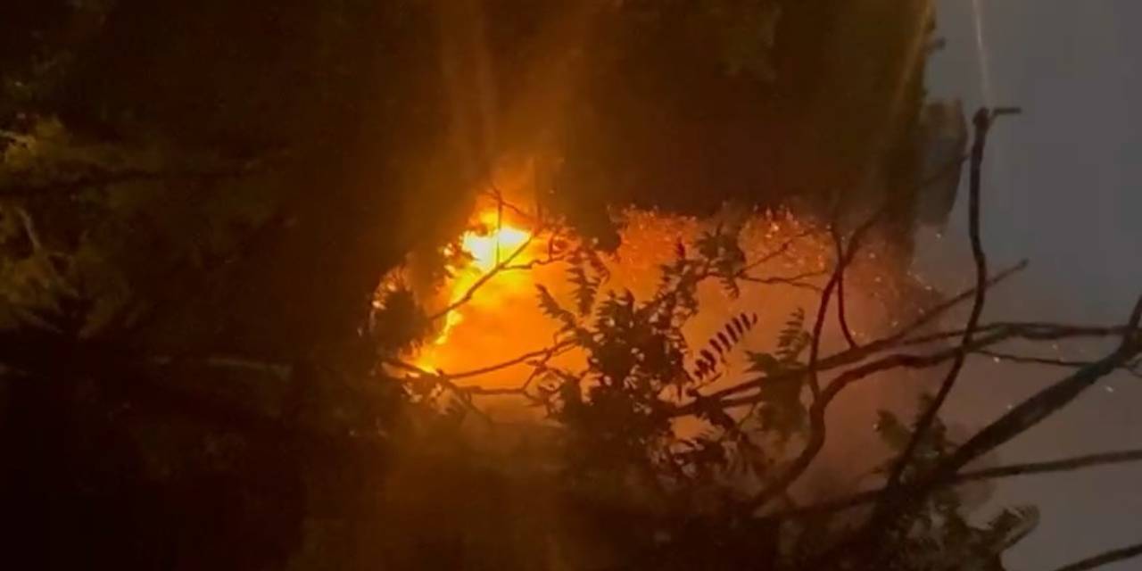 SON DAKİKA | İstanbul'da orman yangını! Ekipler sevk edildi