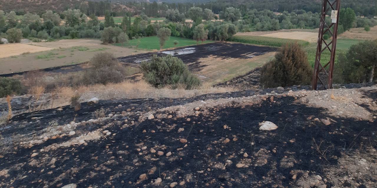 Anız yangınının ortasında kalan adam öldü