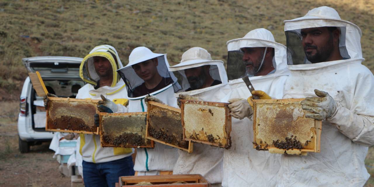 Türkiye'nin AB tescilli ilk balında hasat zamanı