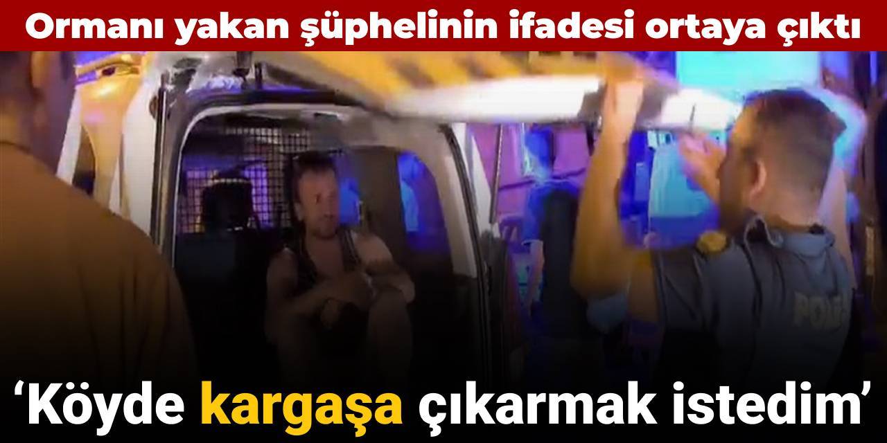 Ormanı yakan şüphelinin ifadesi ortaya çıktı: ‘Köyde kargaşa çıkarmak istedim'