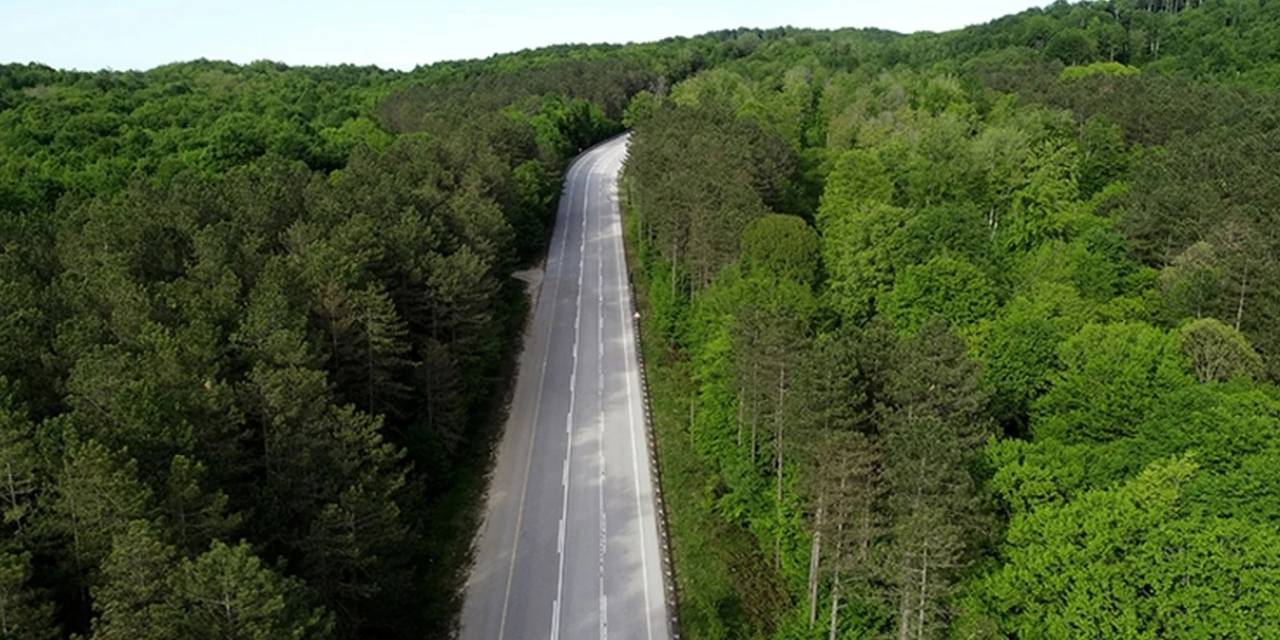 Ormanlık alanlara girişler ve yanıcı madde satışı yasaklandı