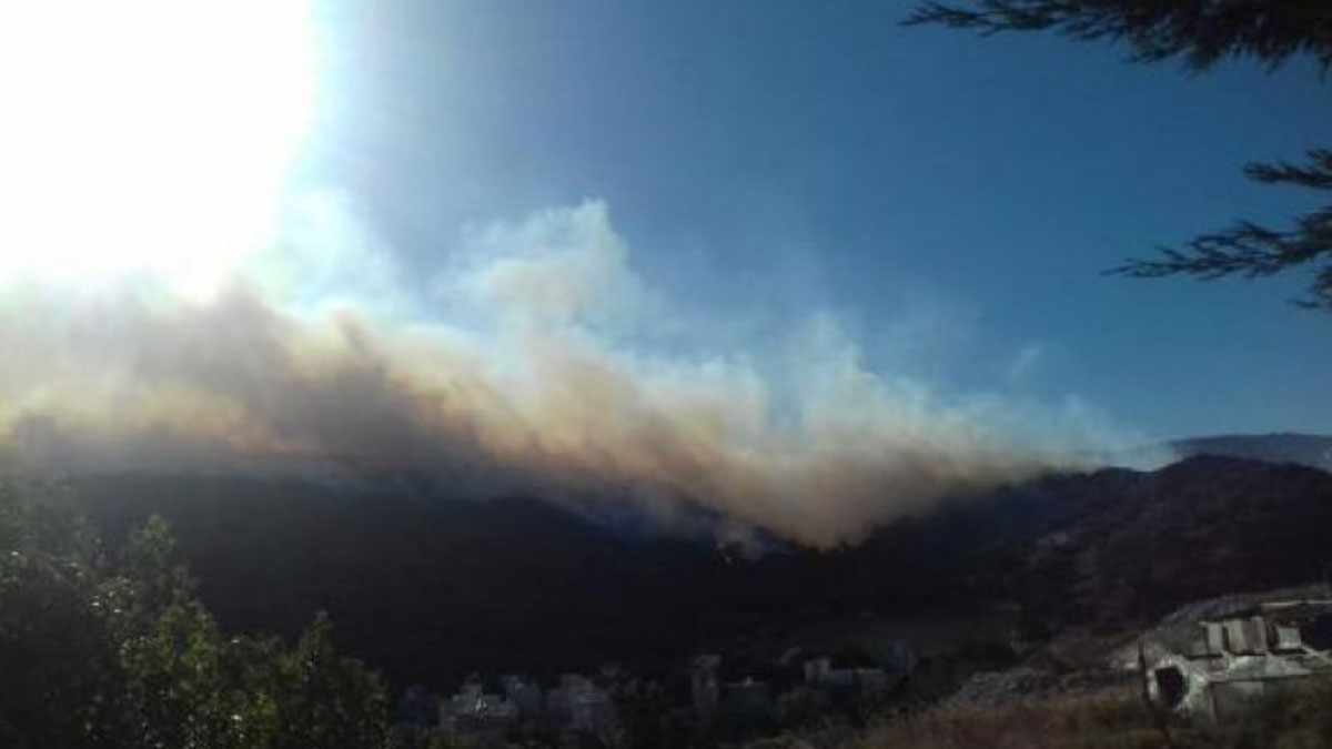 İzmir'de orman yangını: 4 saat süren müdahaleler sonrası yangın kontrol altına alındı