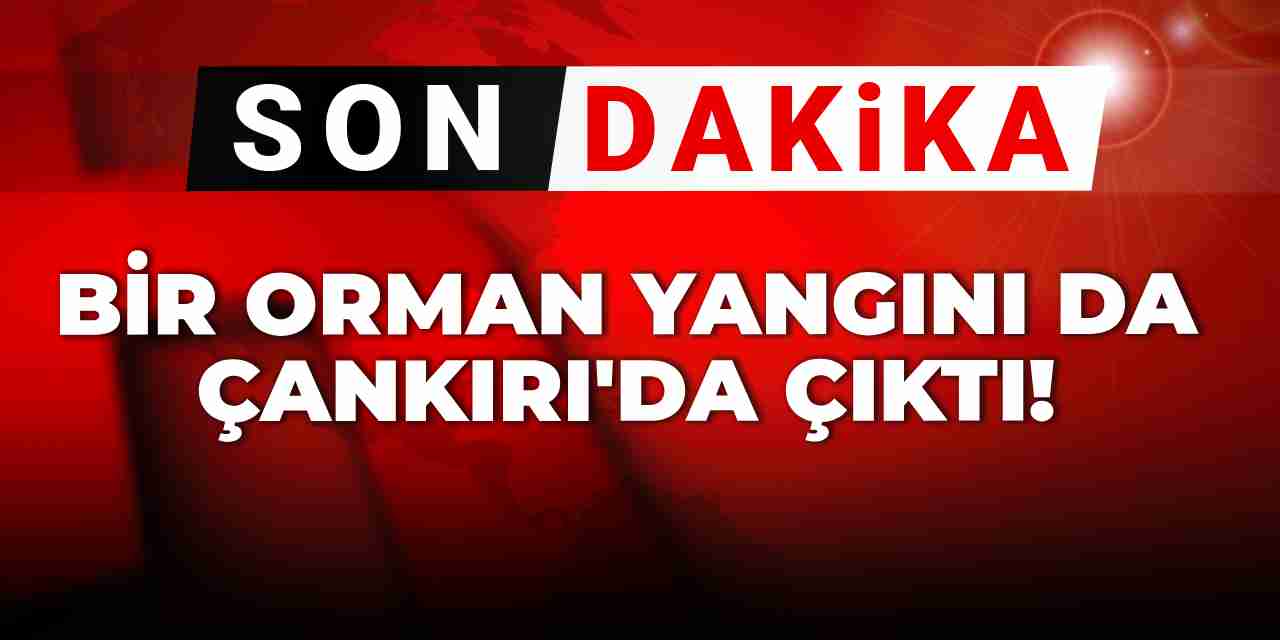 Son dakika... Biri sönmeden diğeri başlıyor: Çankırı'da orman yangını