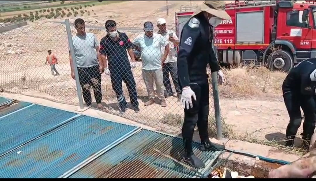 Serinlemek için kanala girdi, 3 gün sonra cansız bedeni bulundu!