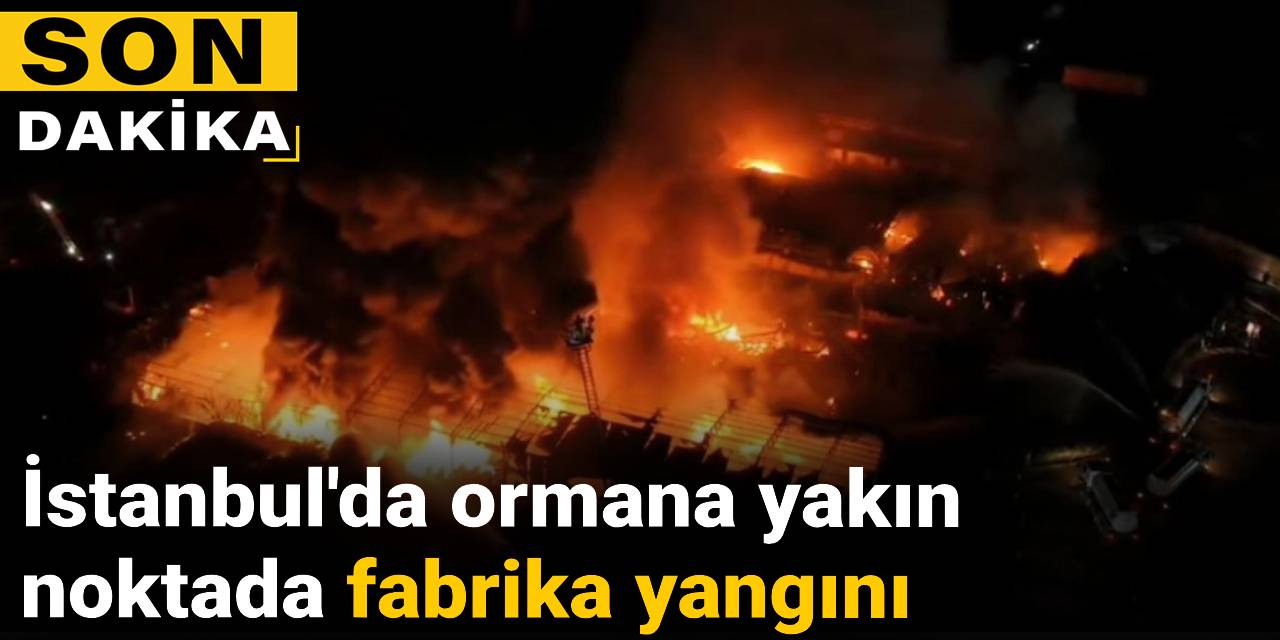 SON DAKİKA! İstanbul'da ormana yakın noktada fabrika yangını