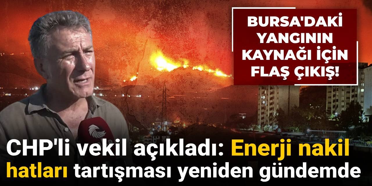 CHP'li vekilden Bursa'daki yangının kaynağına ilişkin 'enerji nakil hatları' çıkışı