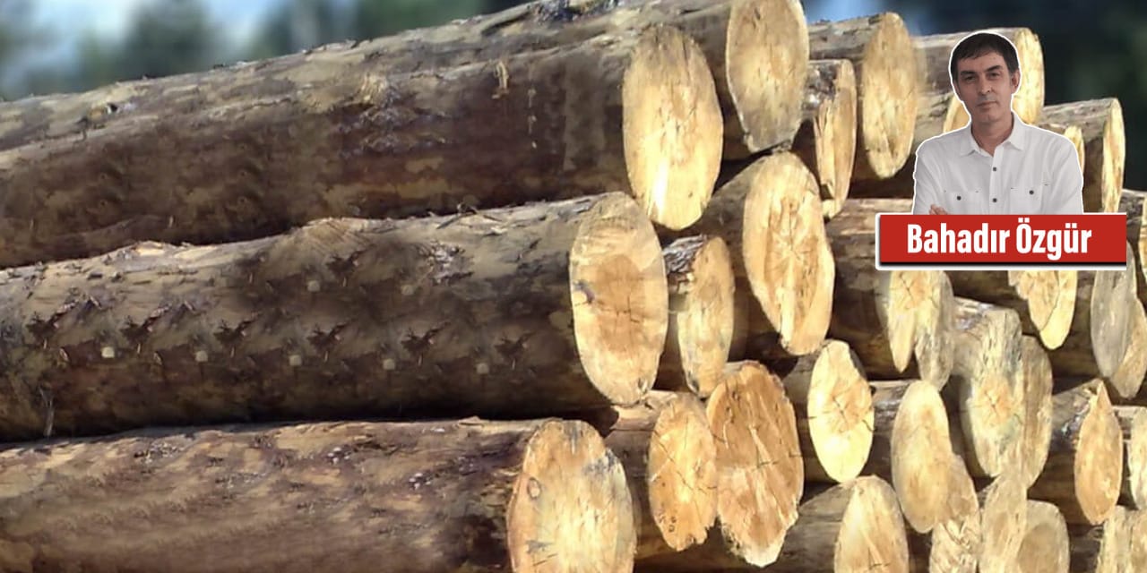 Her yangın yeni ihale demek... Beslenme sırası felaket tüccarlarında: Tomruğa hücum!