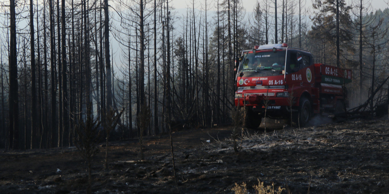 Çankırı Yapraklı'daki yangın tamamen kontrol altında