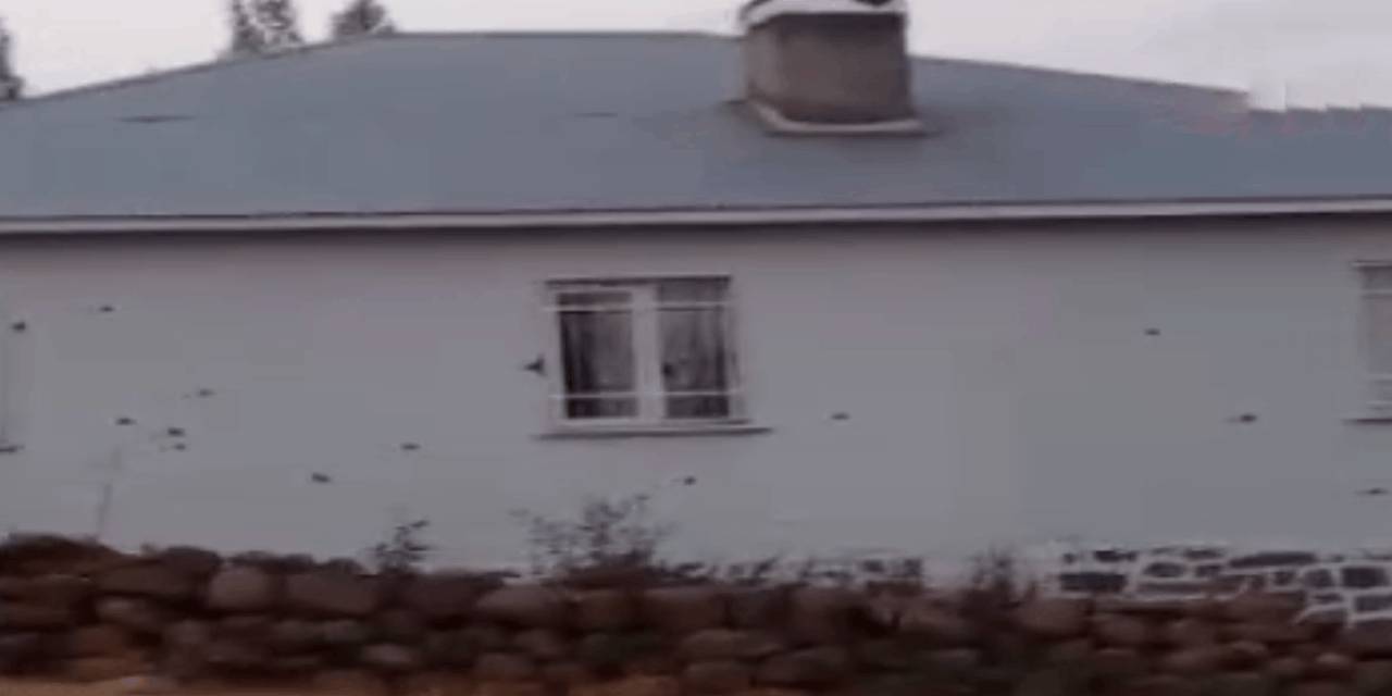 Bingöl'de uzun namlulu silahlarla köy baskını!