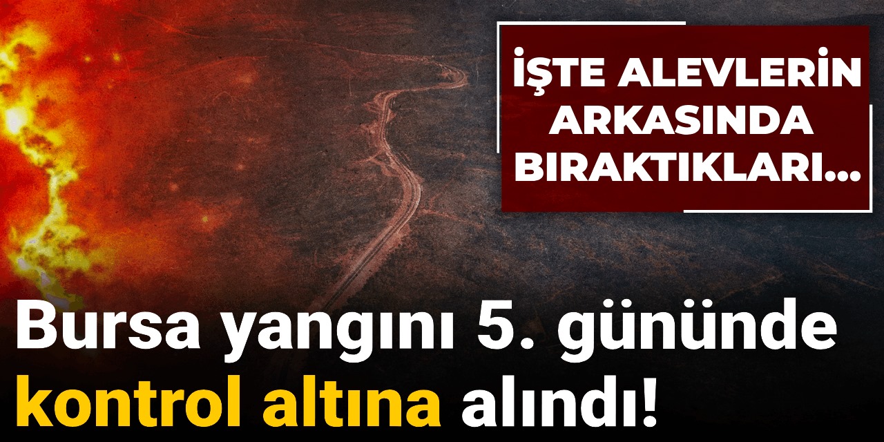 Bursa yangını 5. gününde kontrol altına alındı! İşte alevlerin arkasında bıraktıkları…