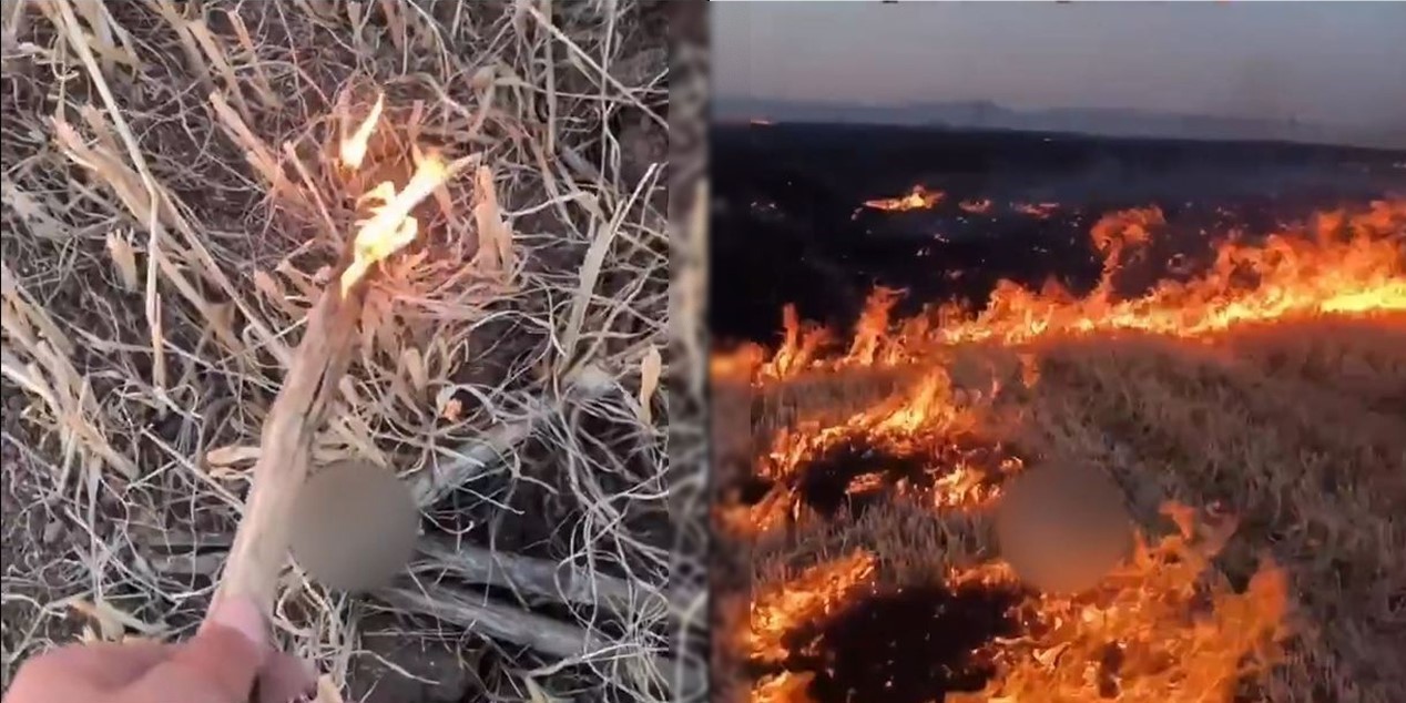 ‘Koskoca tarlayı çubukla yaktık’ diyerek paylaştı gözaltına alındı
