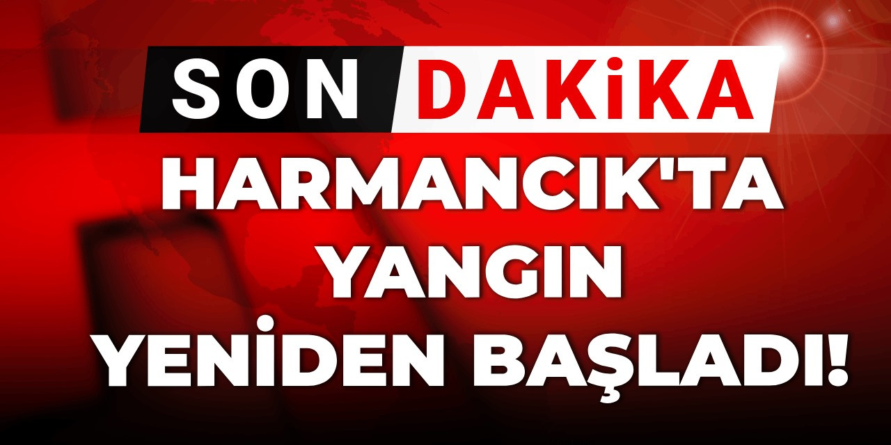 Son Dakika | Harmancık'ta yangın yeniden başladı