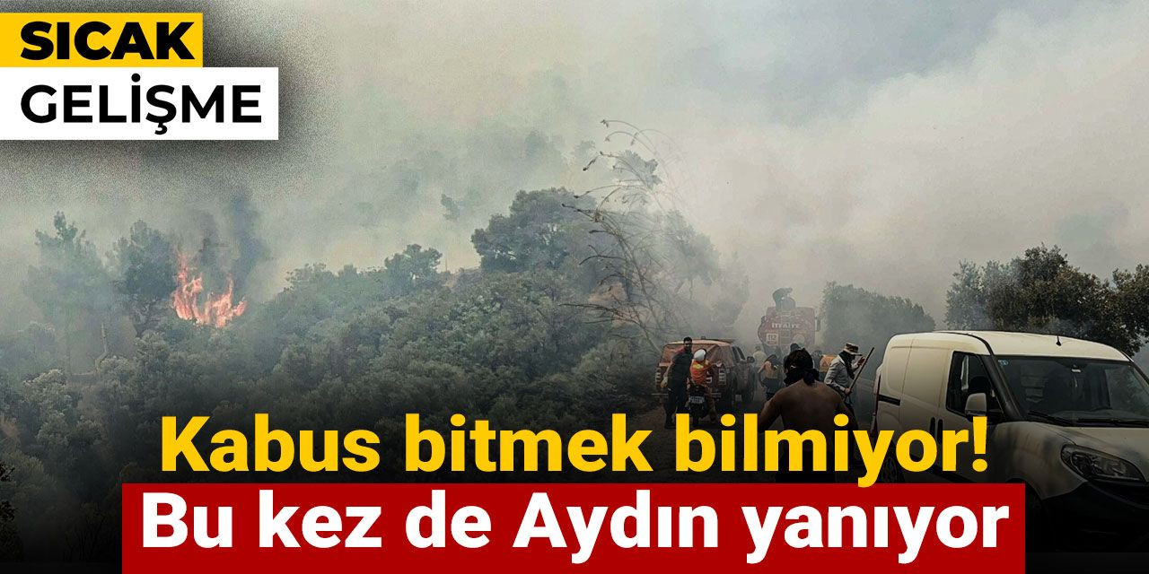 Kabus bitmek bilmiyor! Bu kez de Aydın yanıyor
