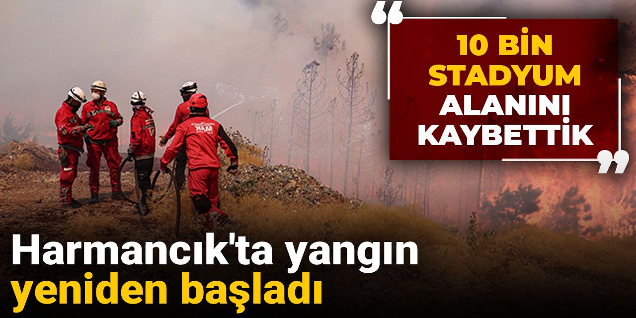 Son Dakika | Harmancık'ta yangın yeniden başladı