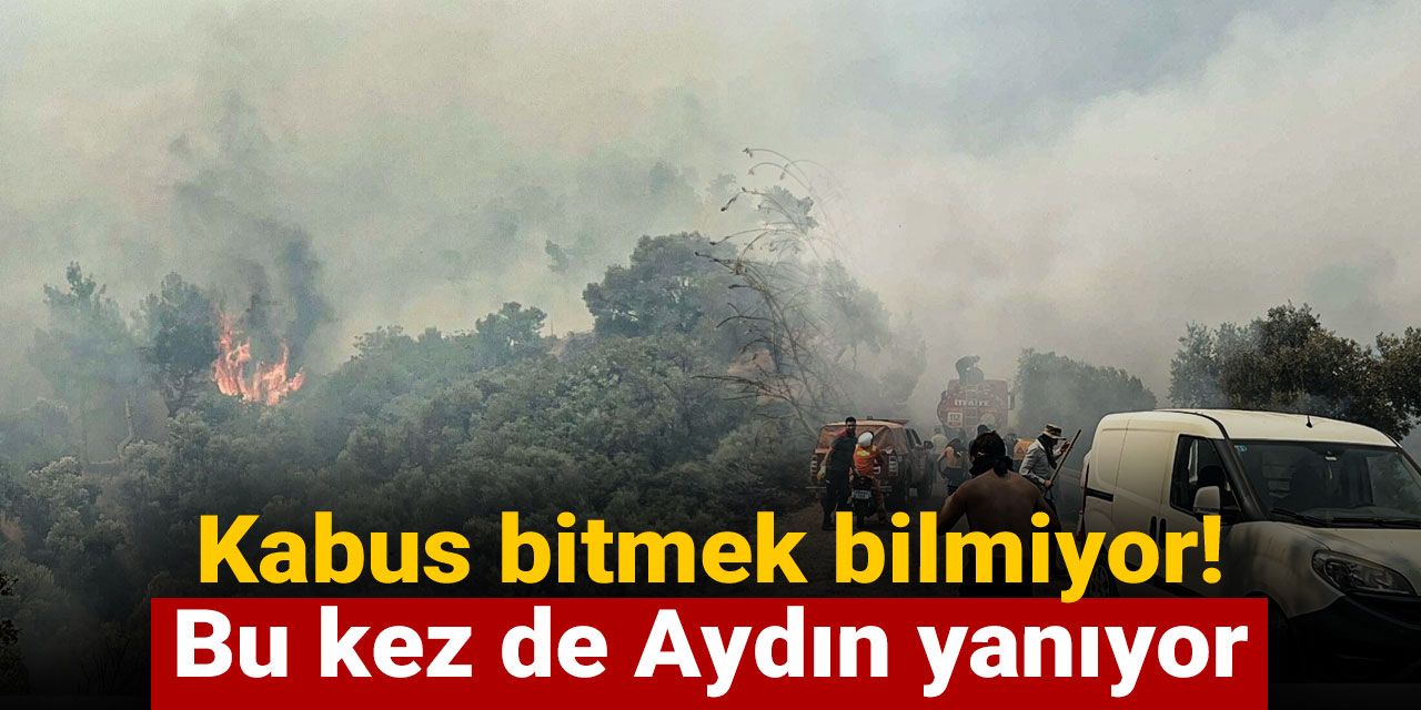 Kabus bitmek bilmiyor! Bu kez de Aydın yanıyor
