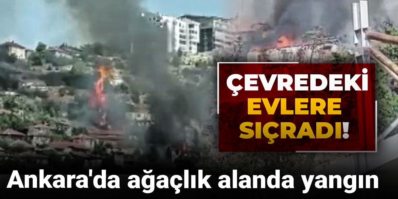 Son Dakika | Ankara'da ağaçlık alanda yangın: Çevredeki evlere sıçradı!