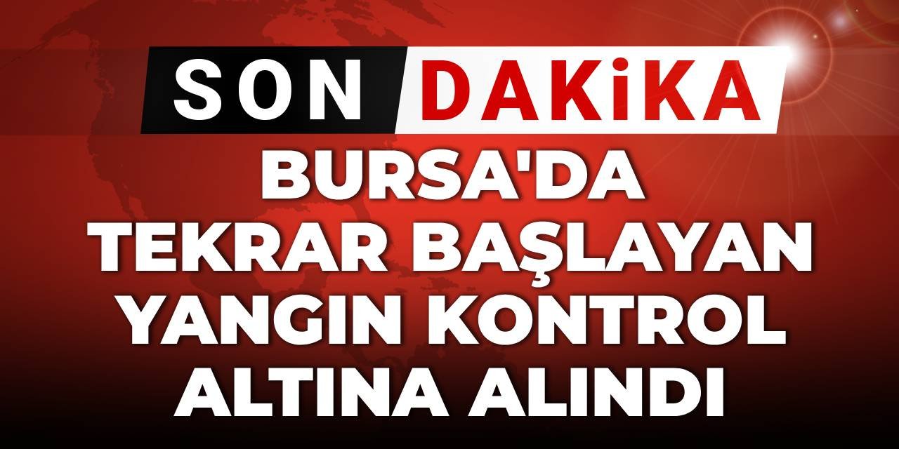 SON DAKİKA! Bursa'da tekrar başlayan yangın kontrol altına alındı